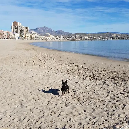 Camping Costa Blanca El Campello