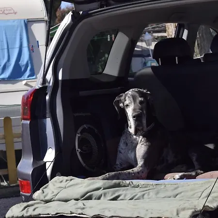 Costa Blanca El Campello