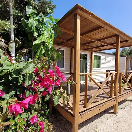 Costa Blanca Campsite